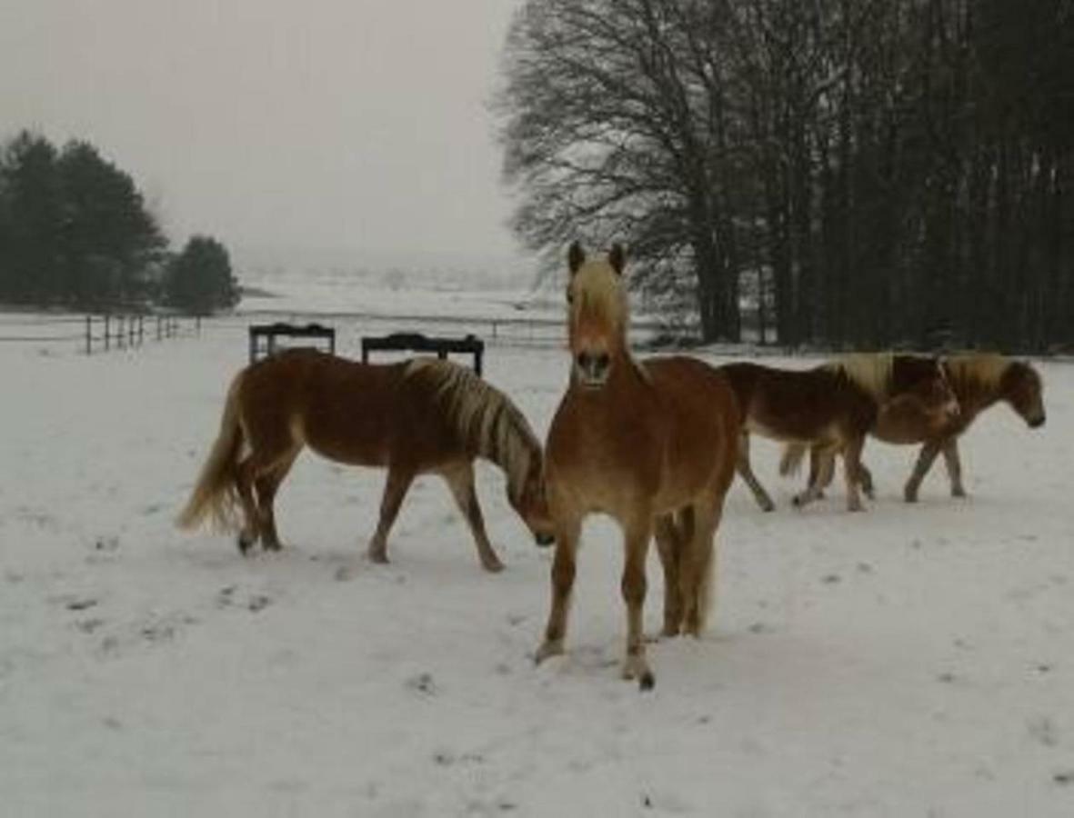 Gaestezimmer Hessdorf Luaran gambar